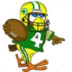 Football owl